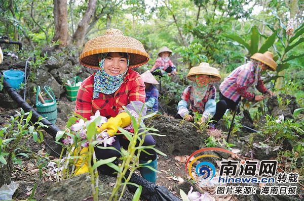 回访习总书记考察海南走过的地方：海口秀英区