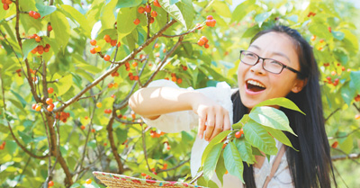 好水好土产好果（家乡美味·品味舌尖上的农村）