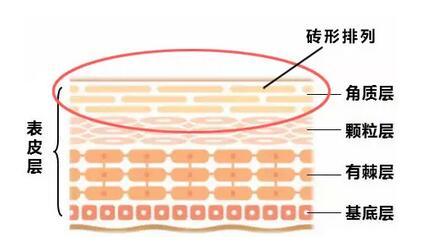 不想毁脸，你必须要知道的去角质小常识通通告诉你！