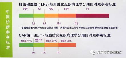 脂肪肝患者说：有了“它”，晨跑都有劲儿了！