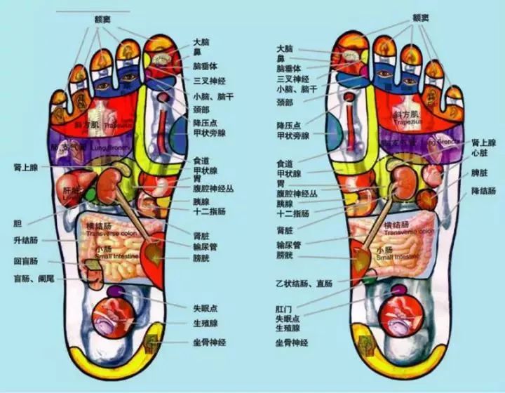 手脚冰冷、失眠多梦、脚臭脱皮？！你一定没用它。。。