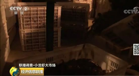 小龙虾“横行”柏林 当地政府开放禁令欲让“吃货”解决问题