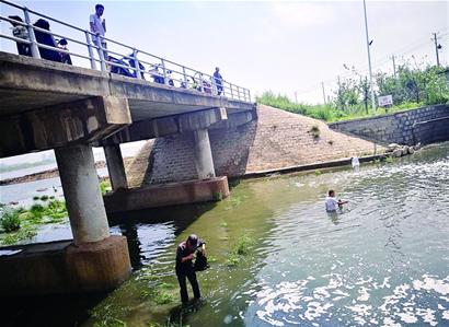 河水海水因降雨交汇 梭鱼成群引市民捕捞