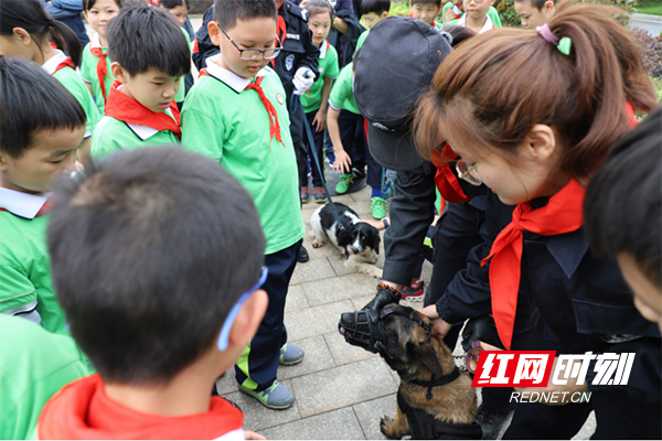 湖南衡阳:丰富多彩社会实践让未成年人体验“劳动美”