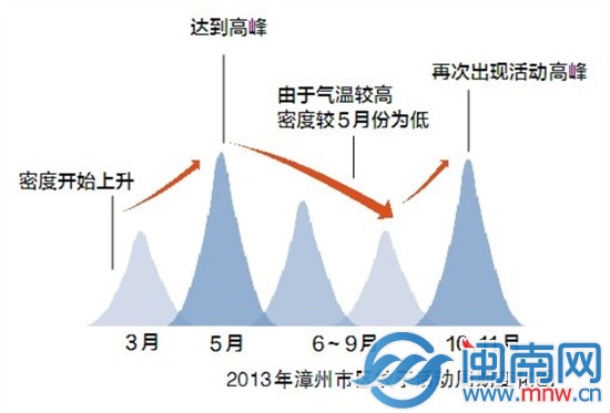 蚊子爱叮哪5类人?漳州“蚊子家族”调查报告出炉