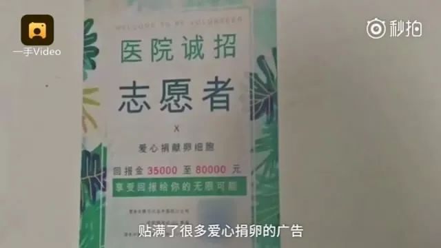 高校现“爱心捐卵”小广告捐1次得3万 背后真相却是…